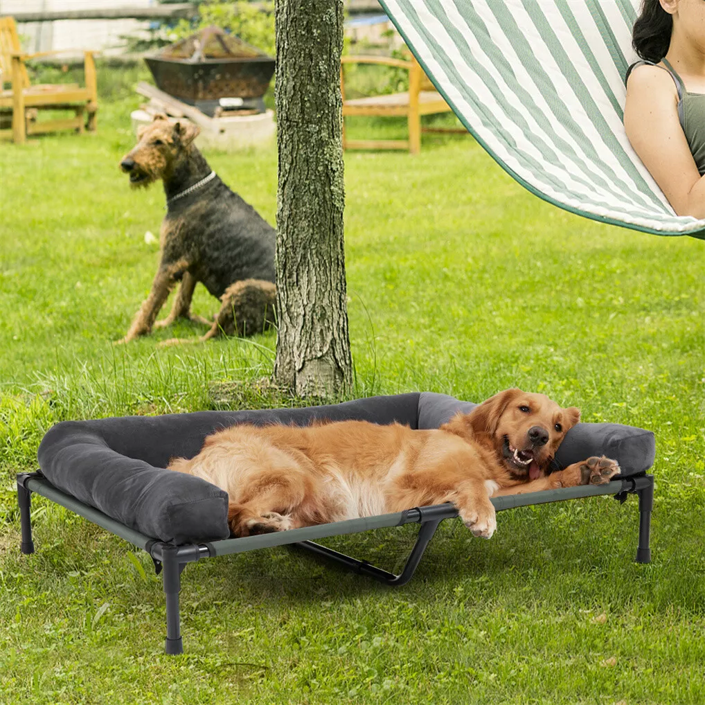 เตียงนอนสุนัขกลางแจ้ง BINGOPAW - Outdoor Camping Cot บทวิจารณ์และราคา
