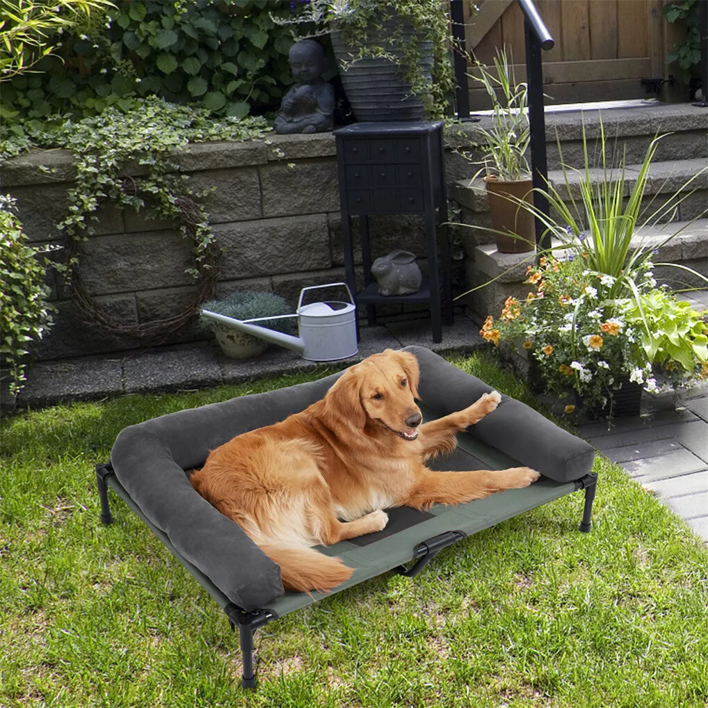 เตียงนอนสุนัขกลางแจ้ง BINGOPAW - Outdoor Camping Cot บทวิจารณ์และราคา